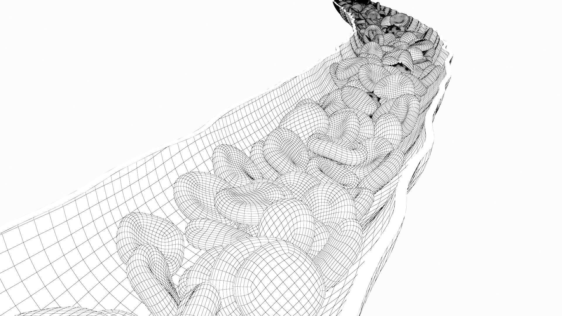 Blood Flow Vessel Heart Beat Pressure Animation 3D model_18