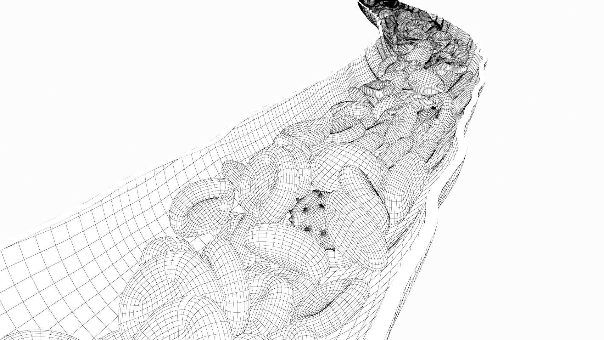 Blood Flow Vessel Heart Beat Pressure Animation 3D model_17