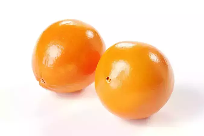 POLYPASTA - orange 01