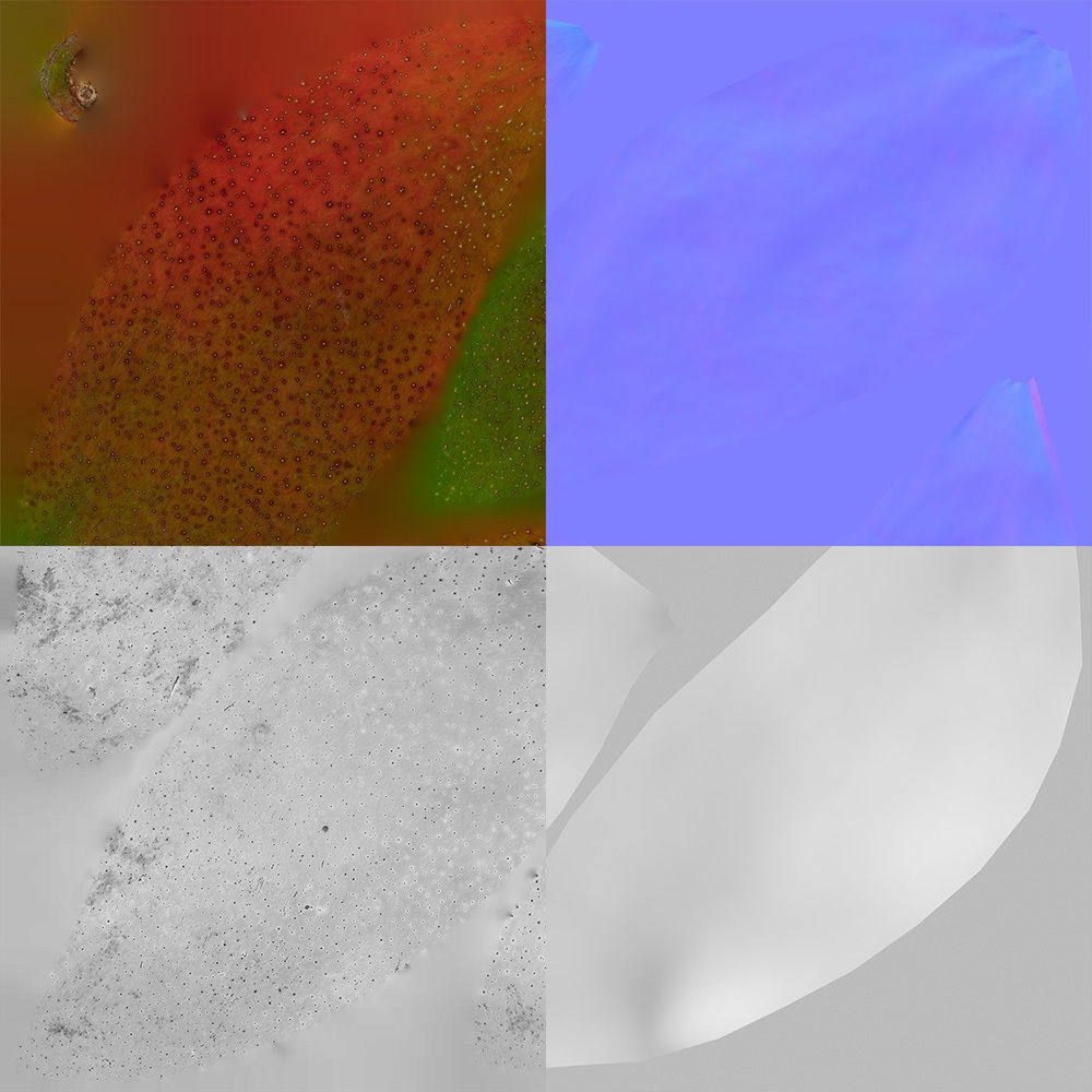 Mango 3D model_11