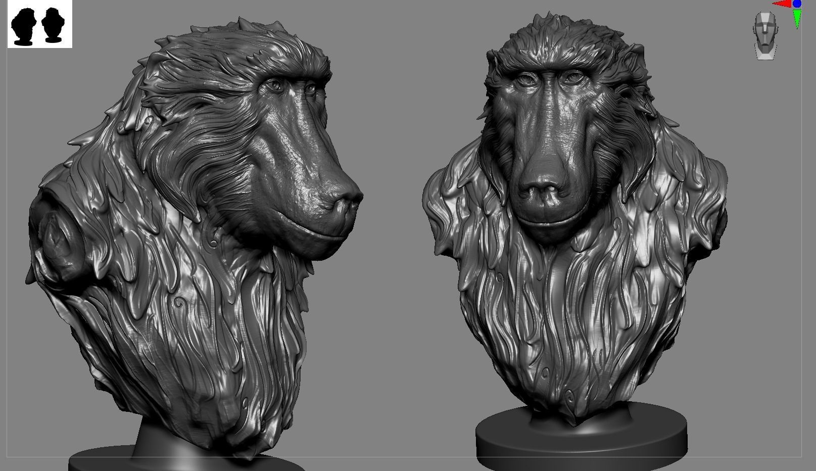 Baboon Bust 3D print model_5