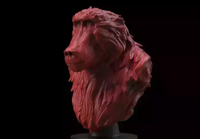 Baboon Bust 3D print model
