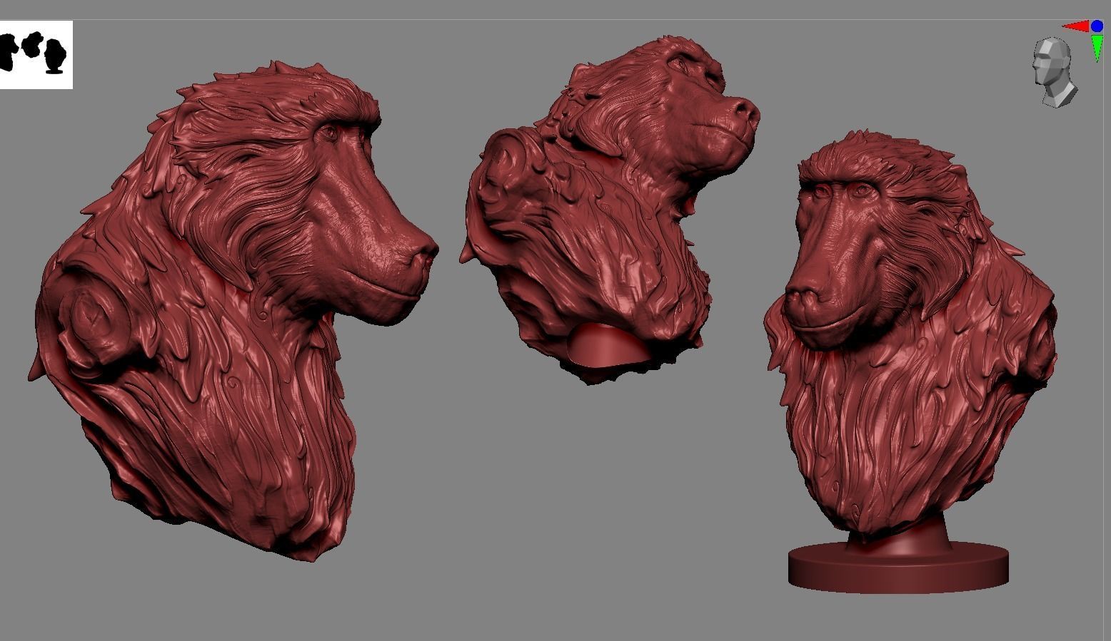 Baboon Bust 3D print model_4