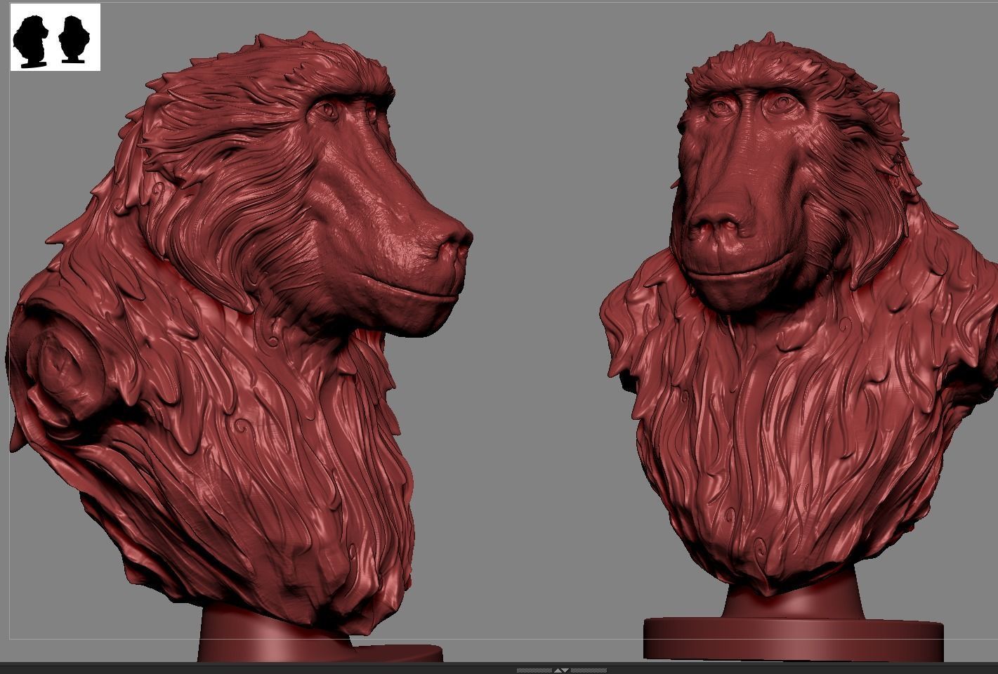Baboon Bust 3D print model_3