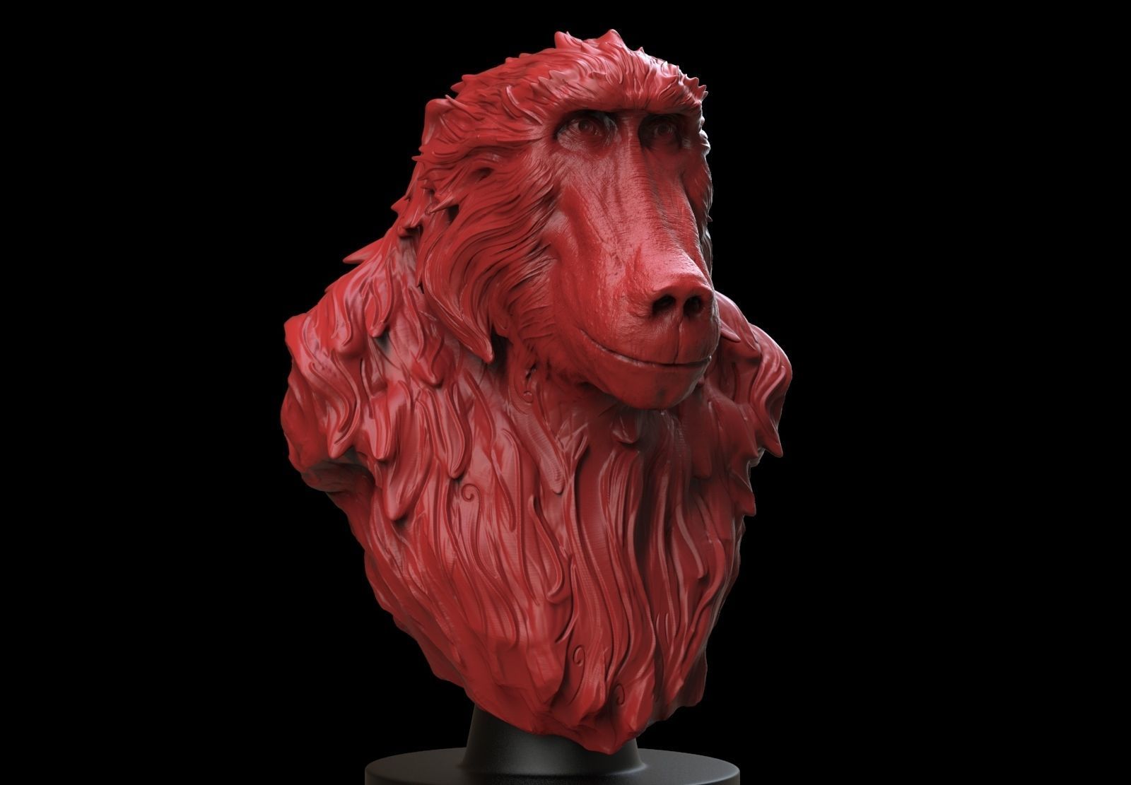 Baboon Bust 3D print model_1