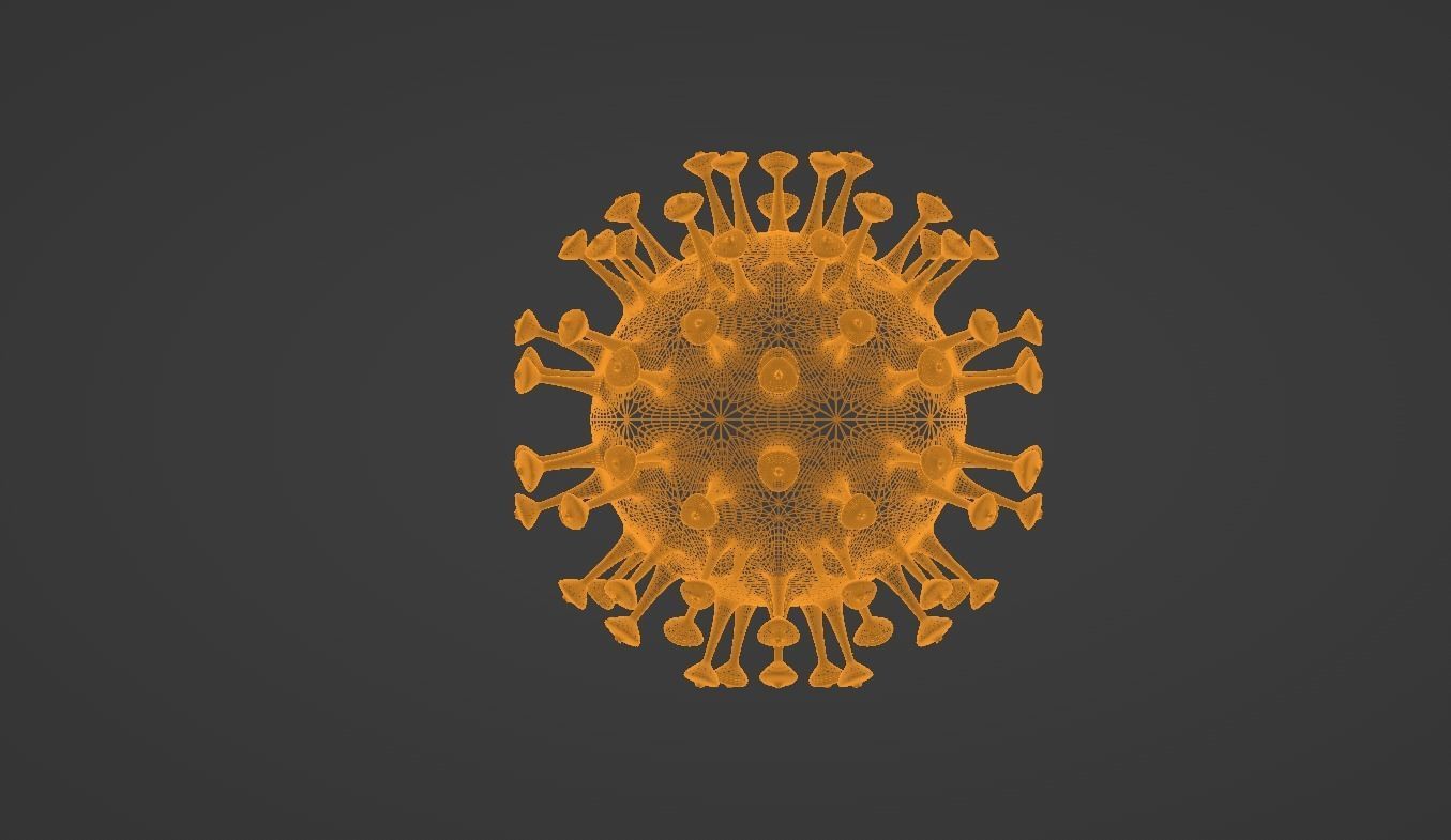 coronavirus 3D model_3