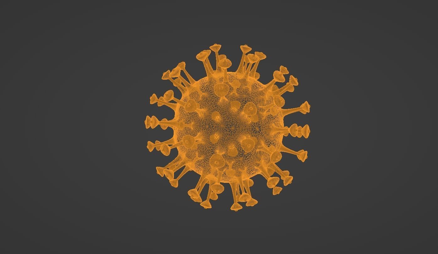 coronavirus 3D model_1