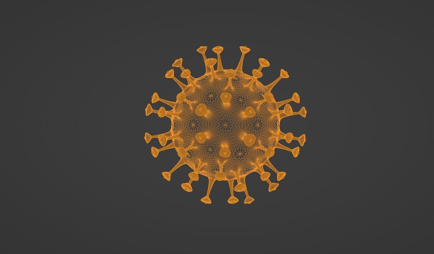 coronavirus 3D model_2