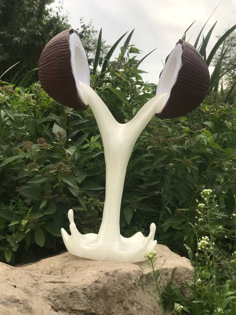 coconut in shape of wedding ring 3D print model_1