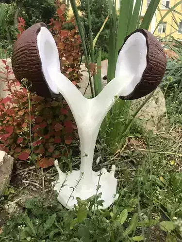 coconut in shape of wedding ring 3D print model