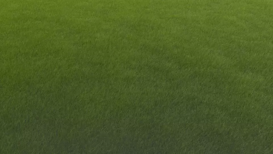 Grass soccer field with Low-poly 3D model