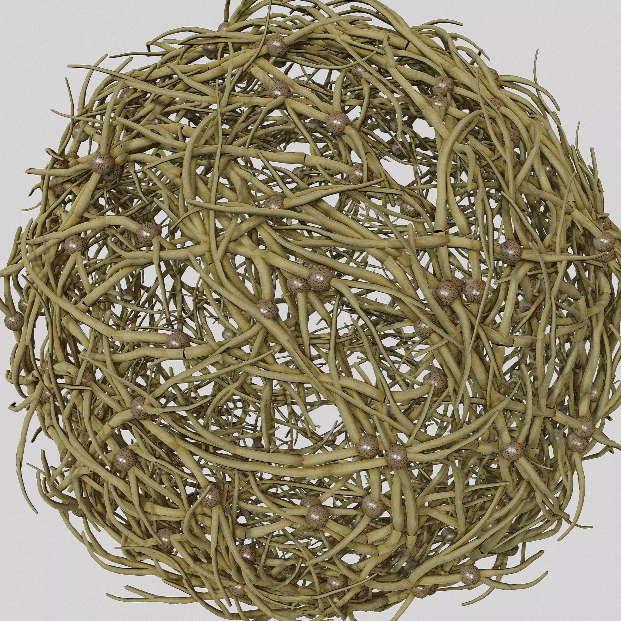 Tumbleweed stylized 3D model_0
