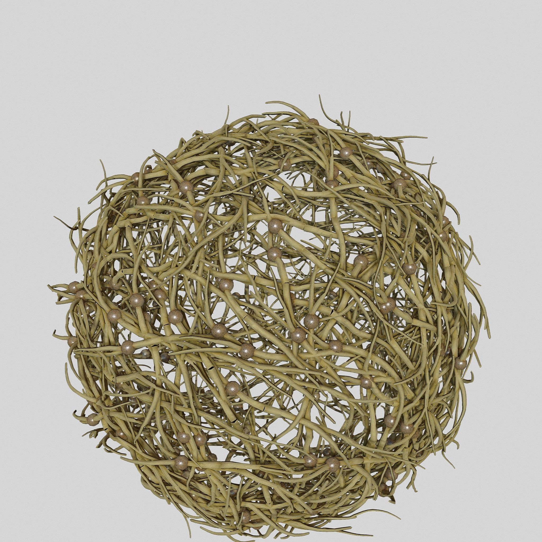 Tumbleweed stylized 3D model_4
