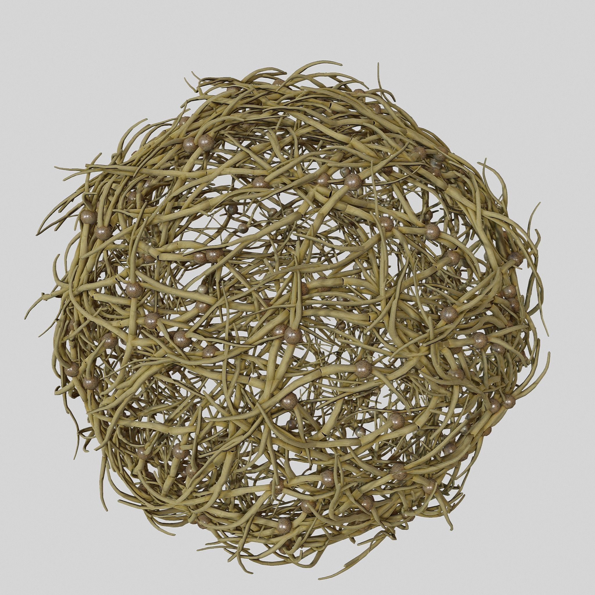 Tumbleweed stylized 3D model_2