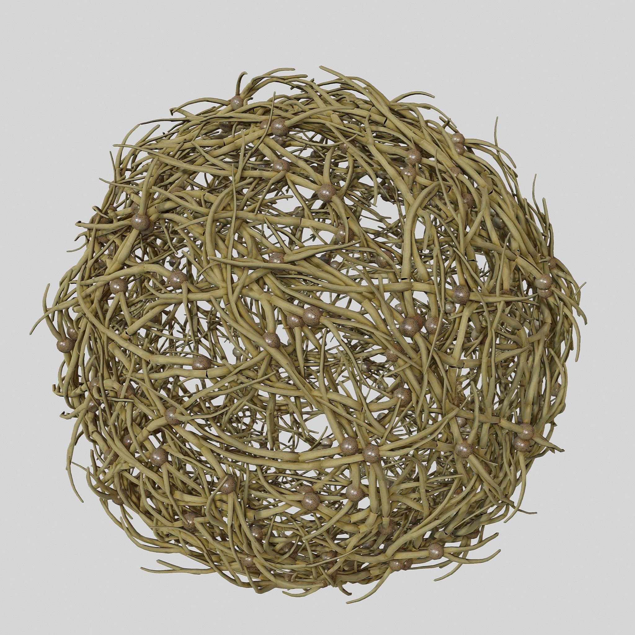 Tumbleweed stylized 3D model_1