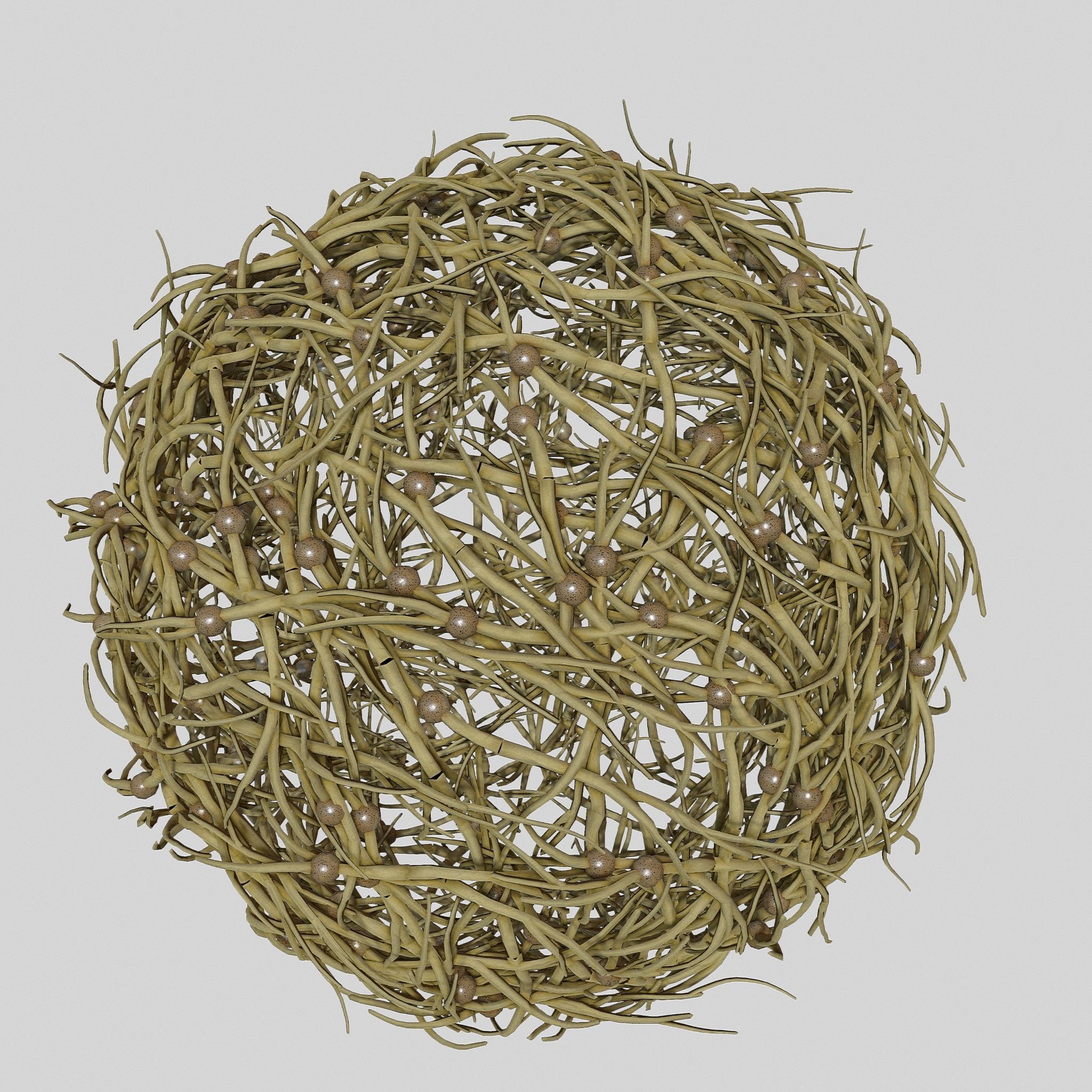 Tumbleweed stylized 3D model_3