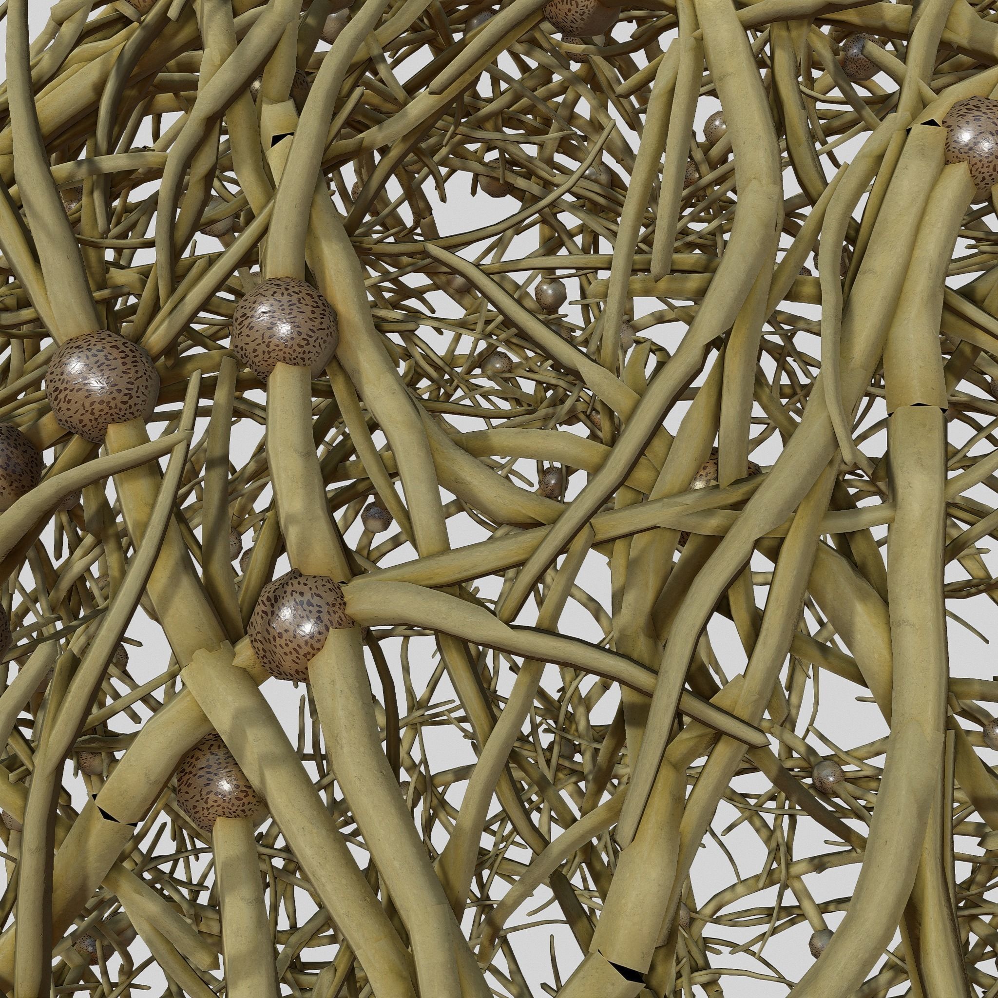 Tumbleweed stylized 3D model_5