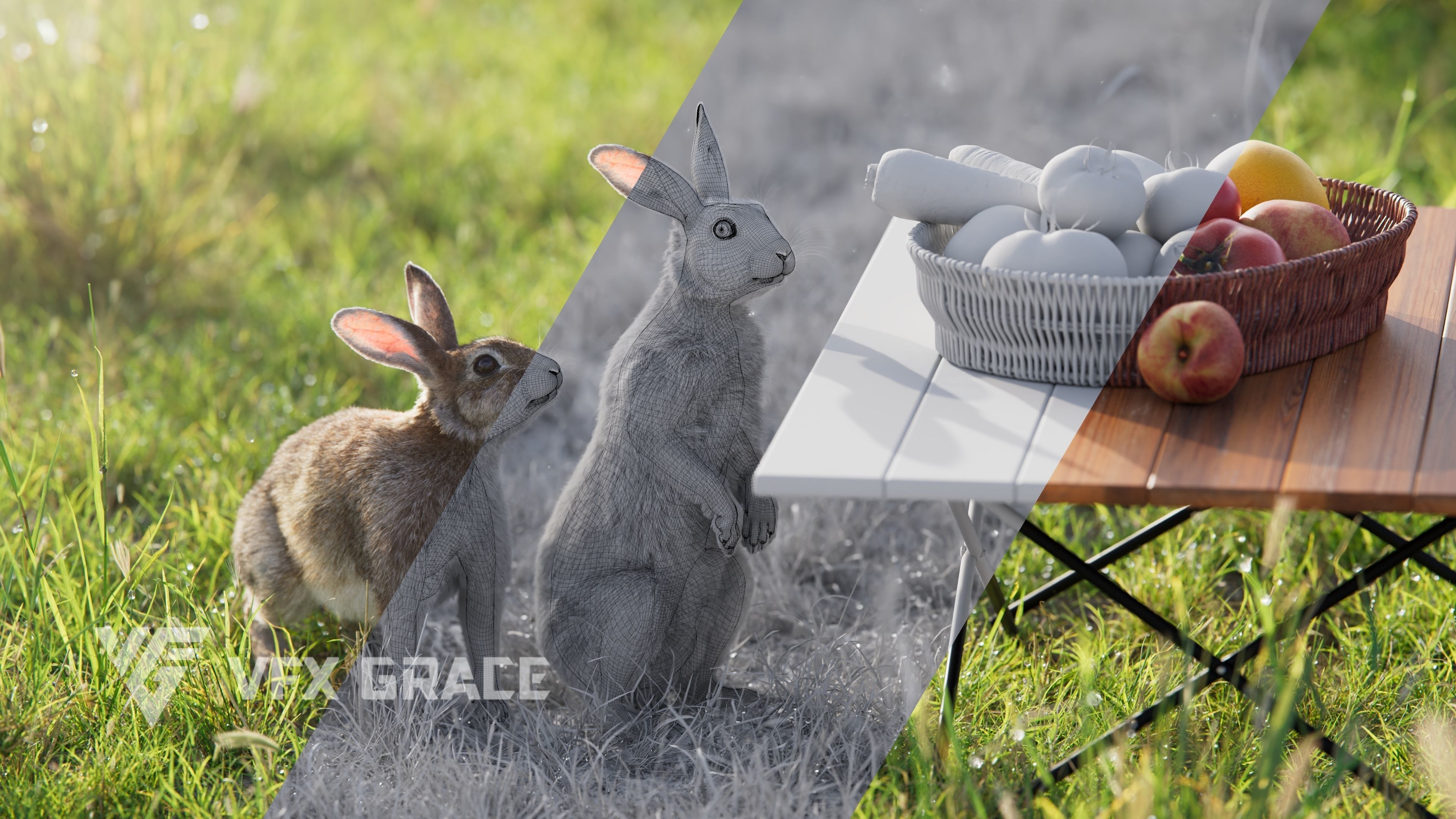 Japanese hare Animated VFX Grace 3D model_5