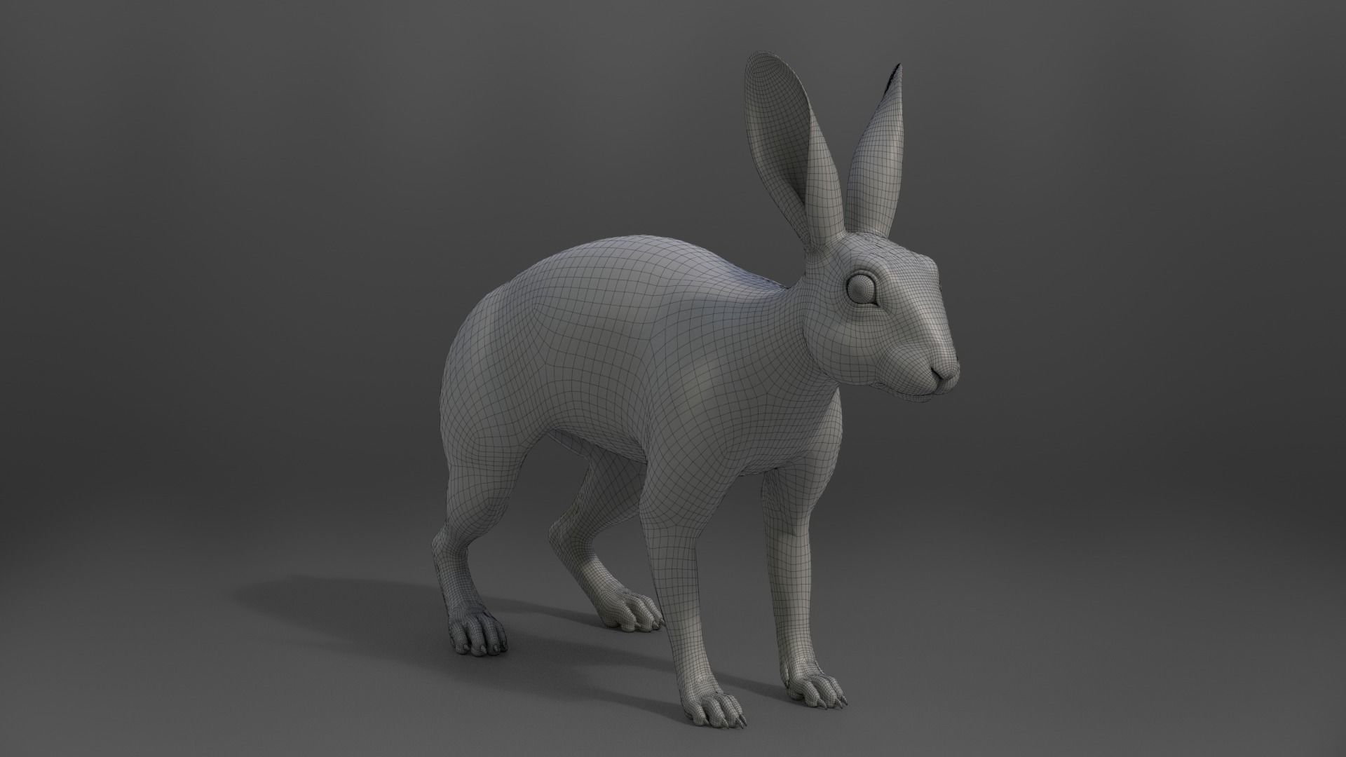 Japanese hare Animated VFX Grace 3D model_28