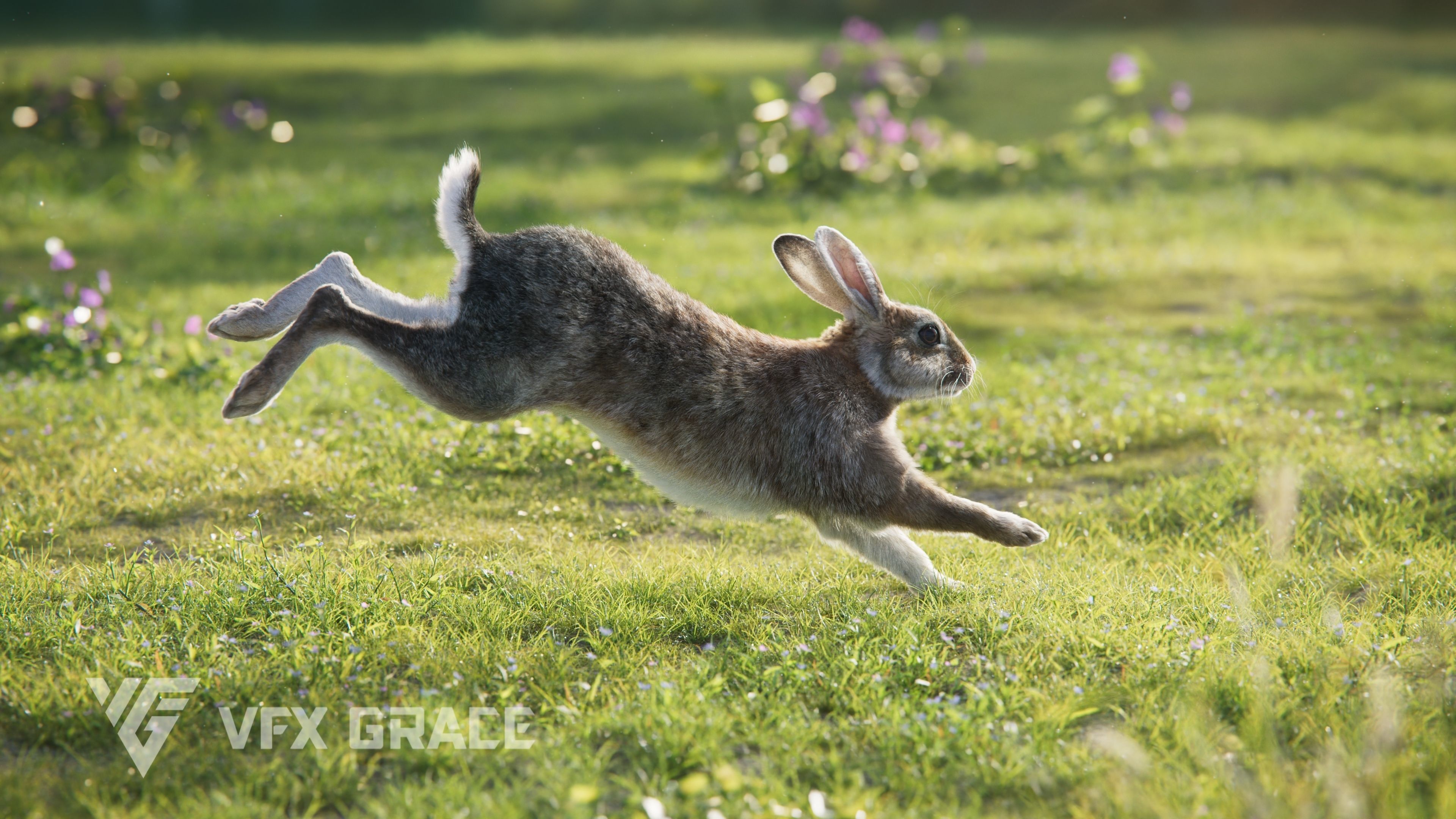 Japanese hare Animated VFX Grace 3D model_6