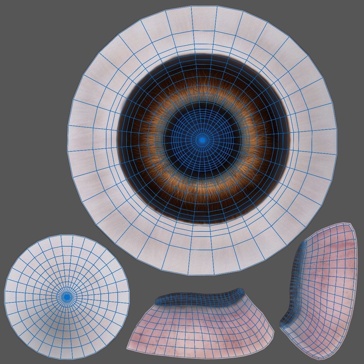 Japanese hare Animated VFX Grace 3D model_32