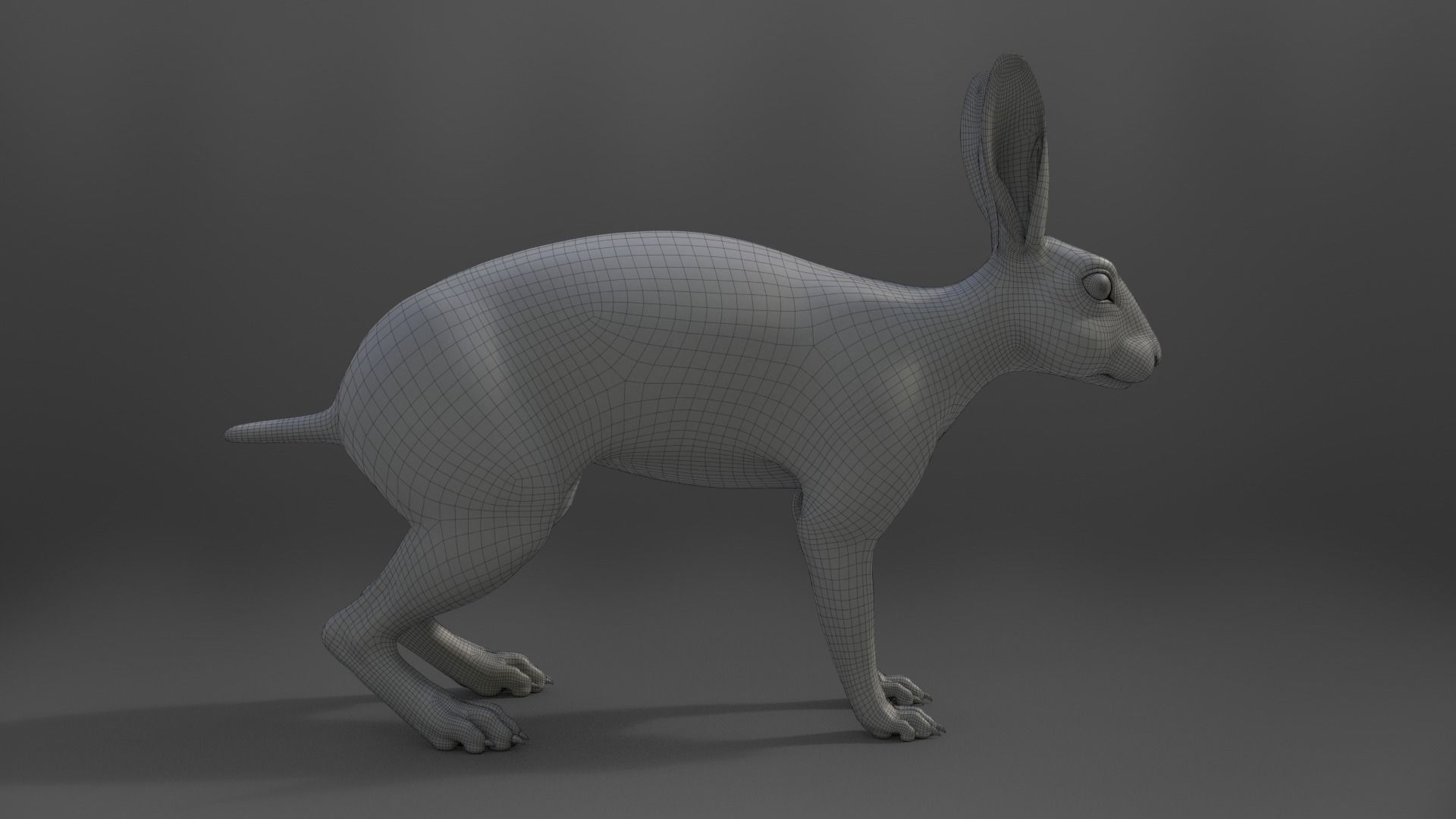 Japanese hare Animated VFX Grace 3D model_26