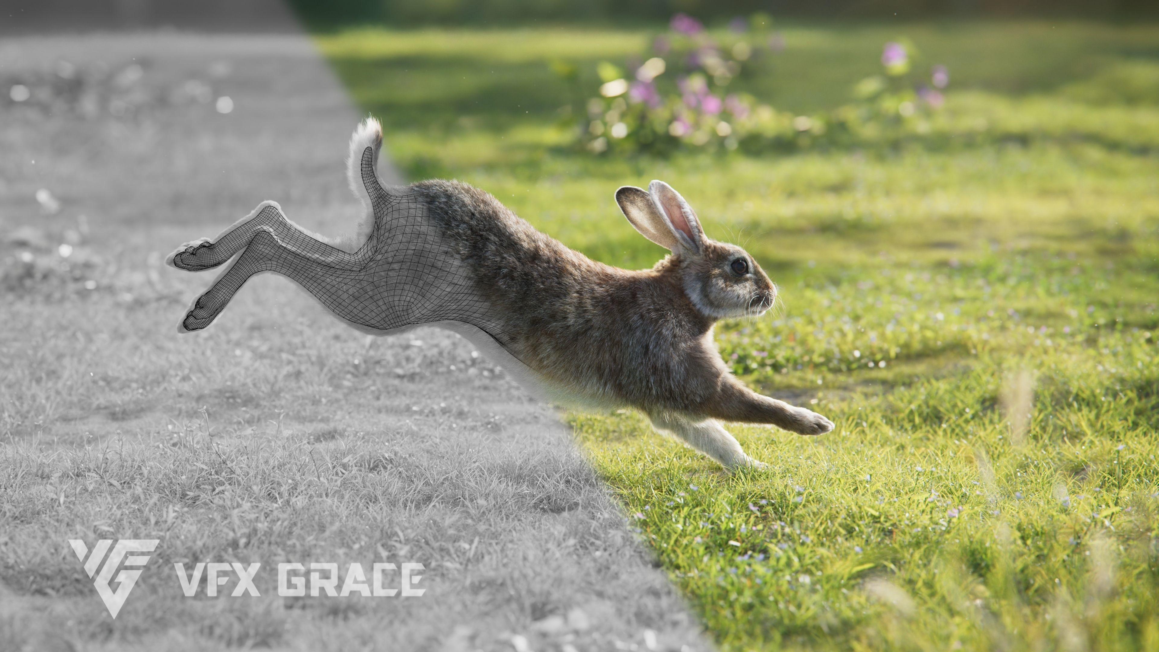Japanese hare Animated VFX Grace 3D model_7