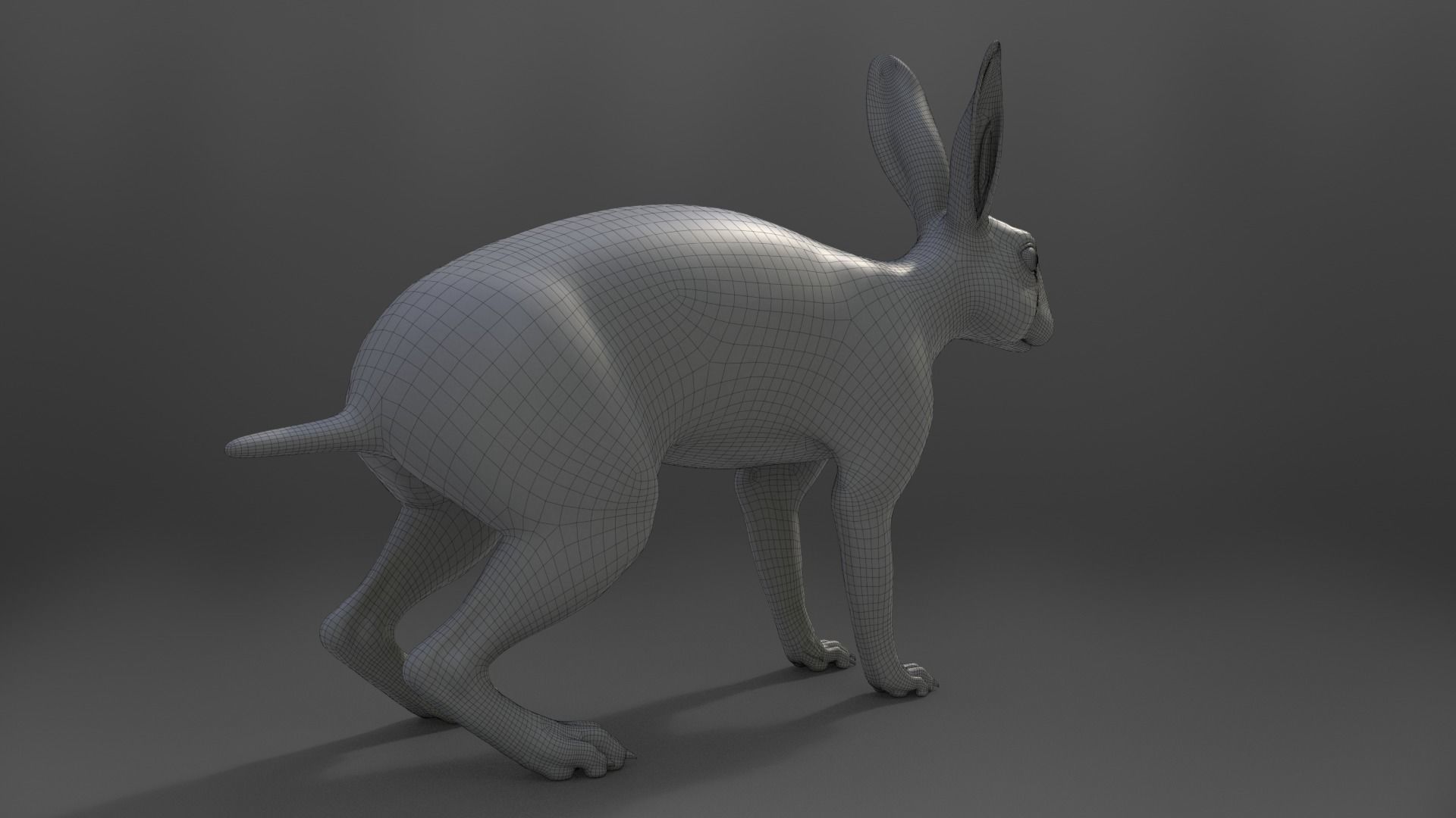 Japanese hare Animated VFX Grace 3D model_27