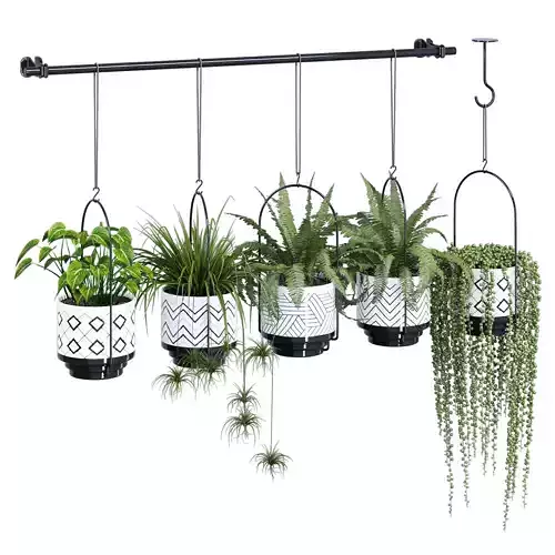 Hibsr hanging planter with potted plants