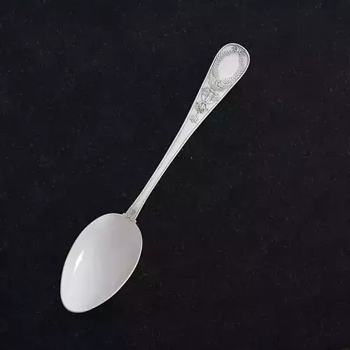 Spoon porcelain