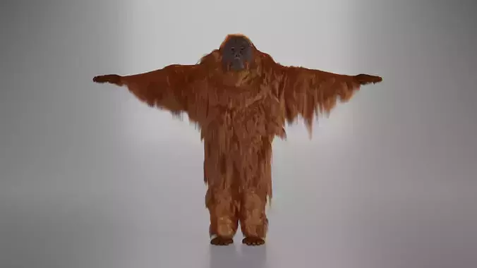 Orangutan for NFT