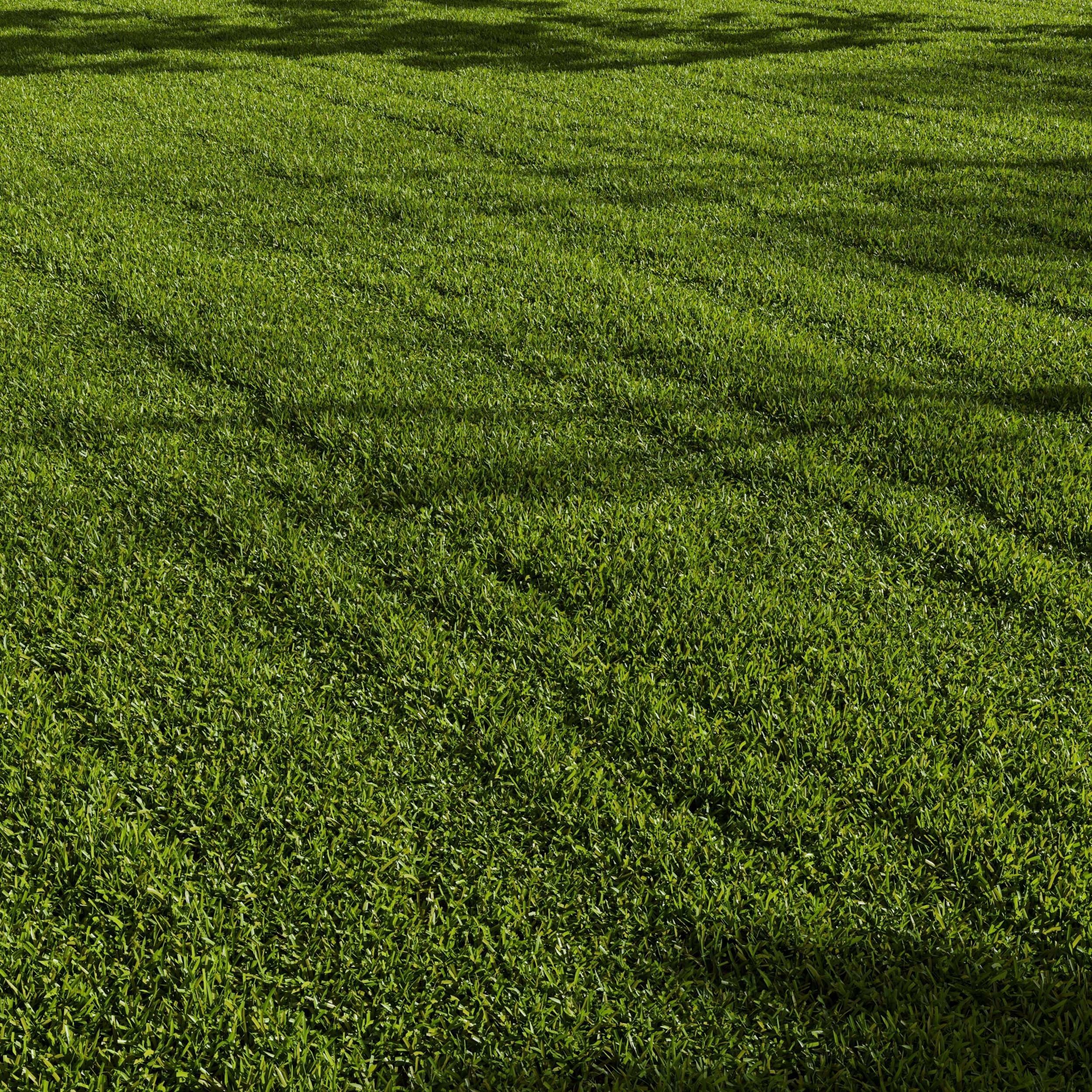 Grass Pack 01 3D model_2