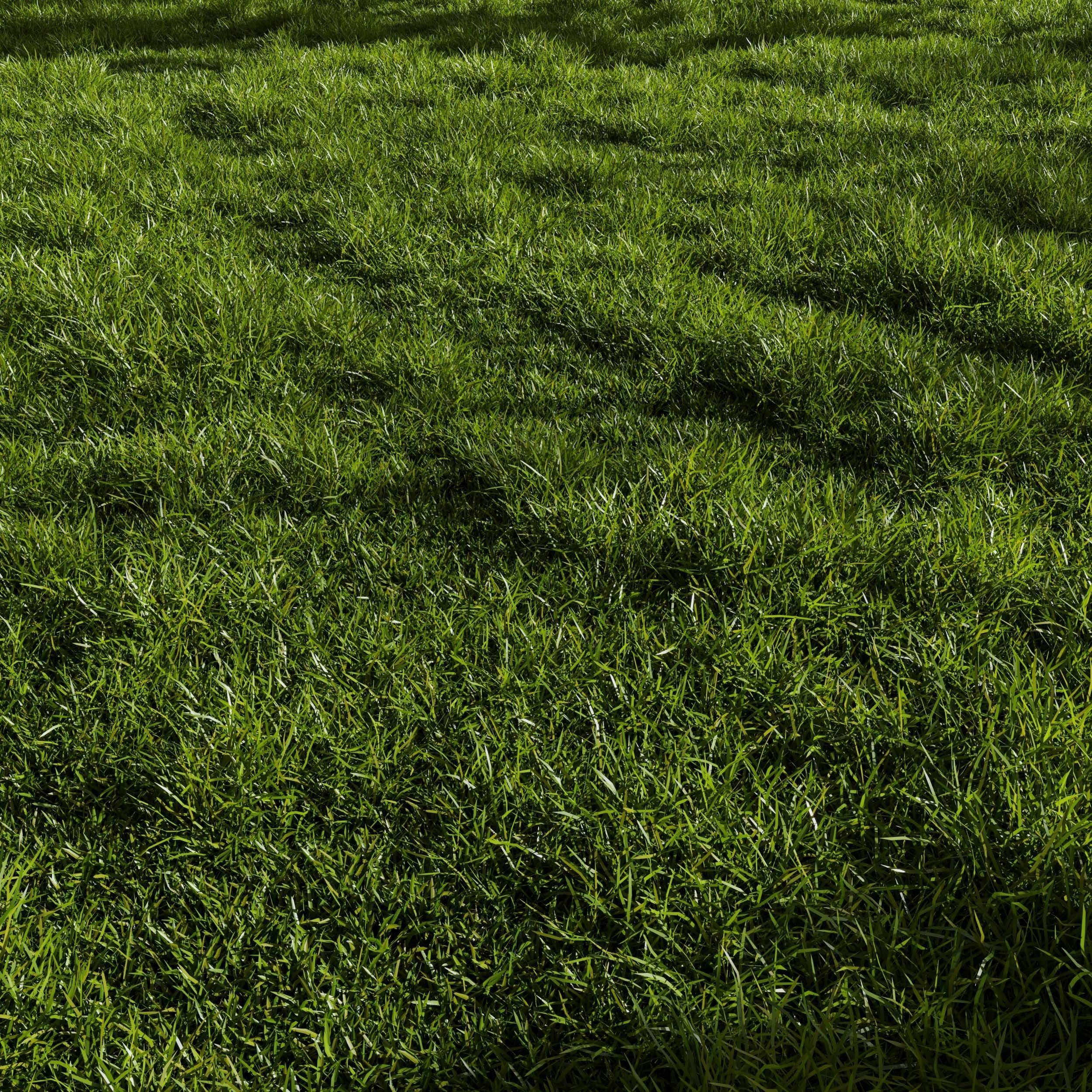 Grass Pack 01 3D model_4