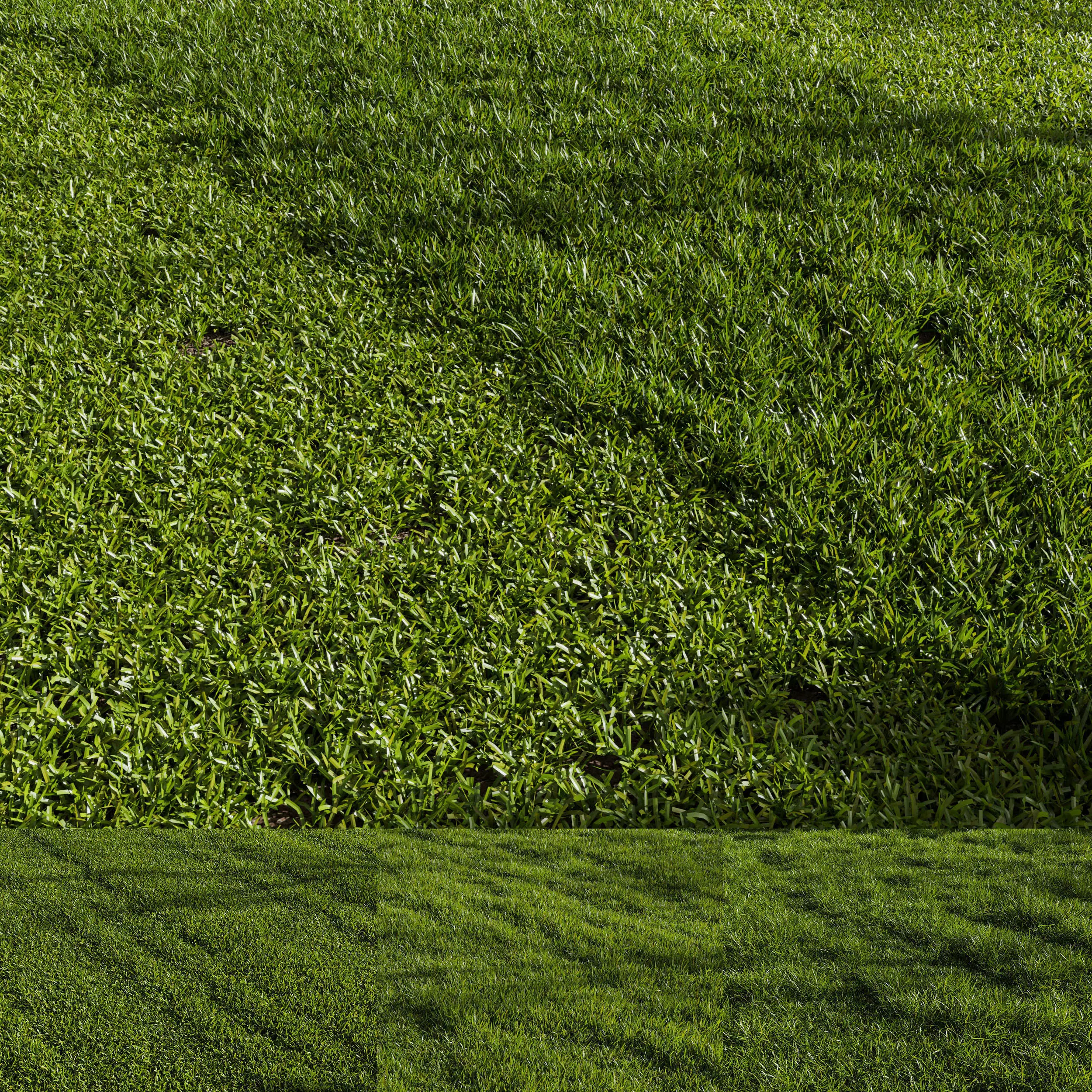 Grass Pack 01 3D model_0