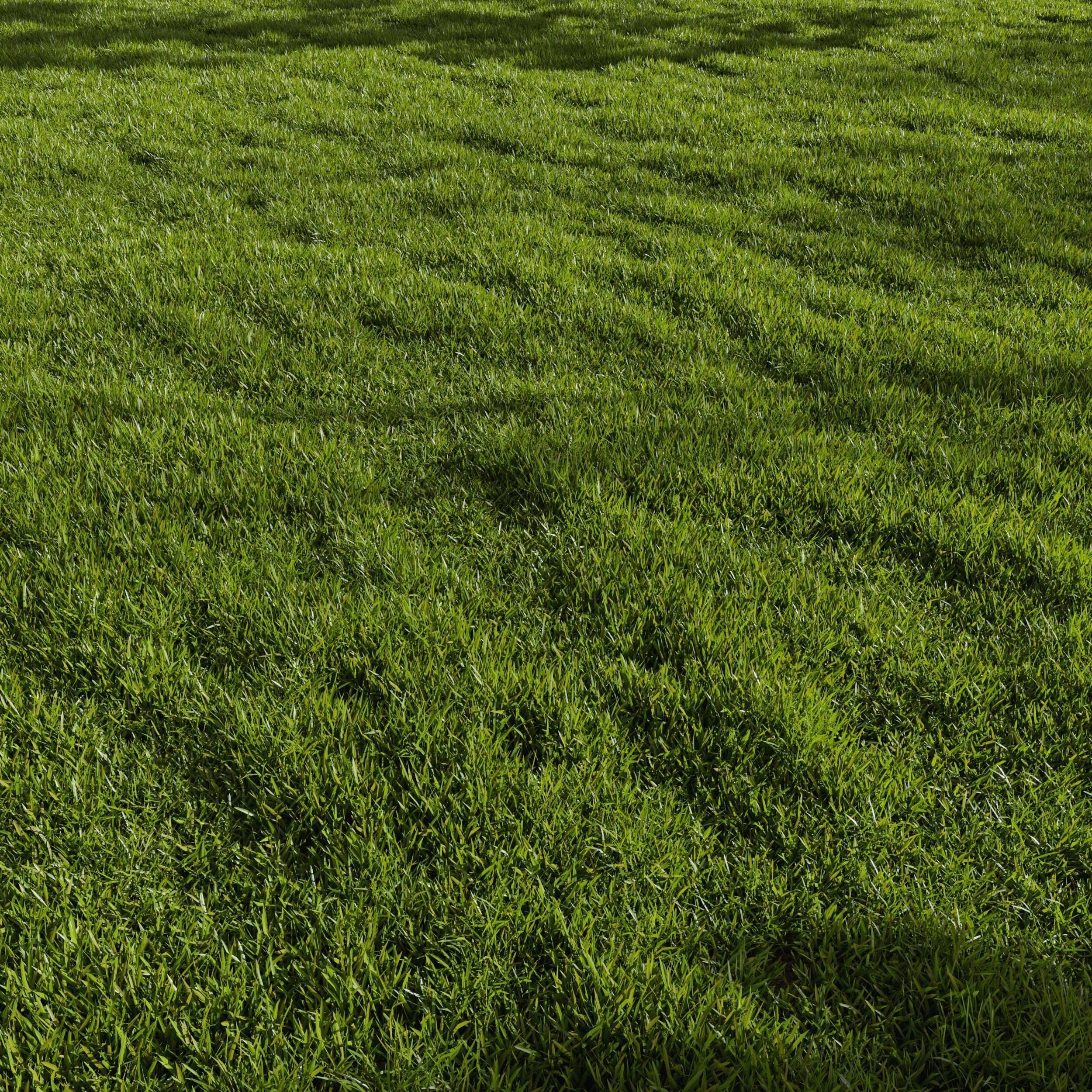Grass Pack 01 3D model_3