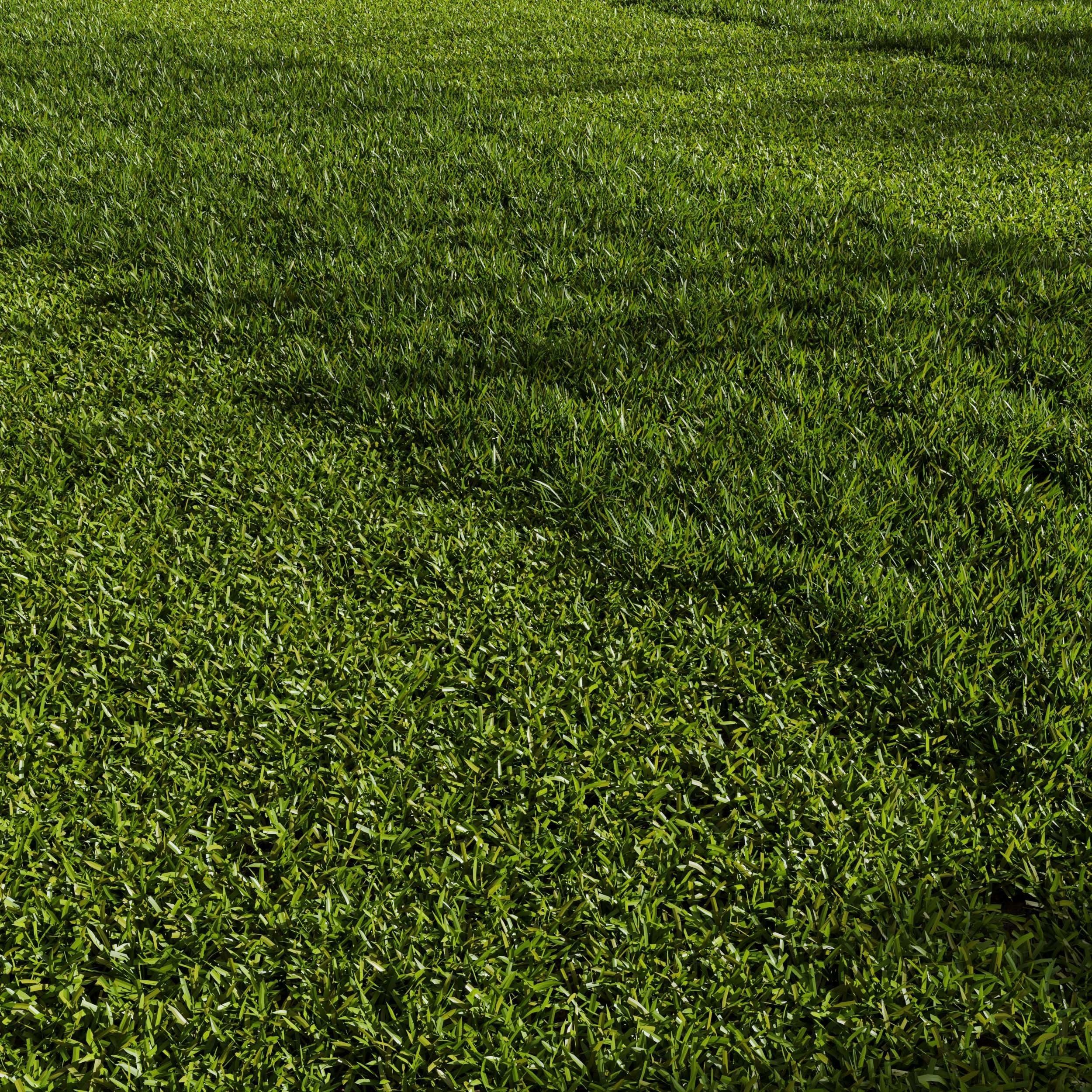Grass Pack 01 3D model_1