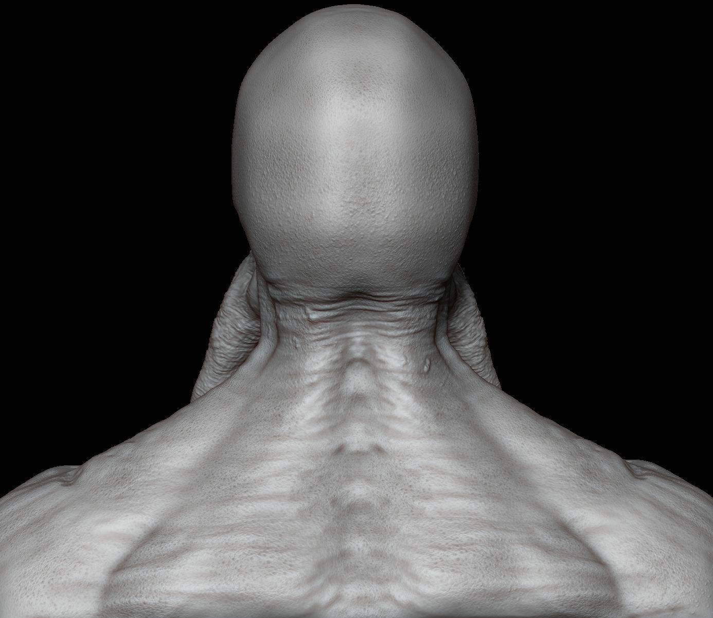 Bloodsucker from STALKER 3D print model_13