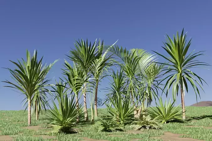 Complete Nature Asset pack with grass