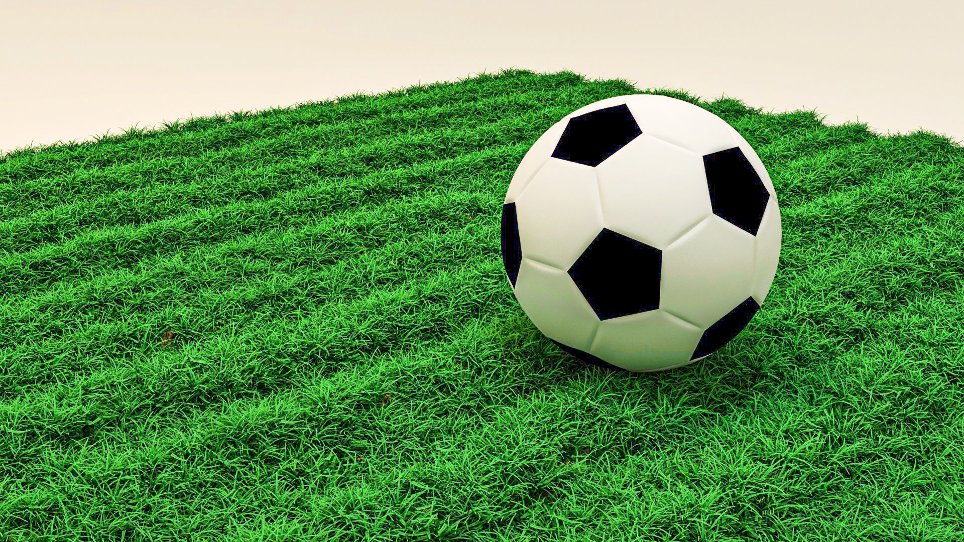 Ball and Grass  the best models Low-poly 3D model_2