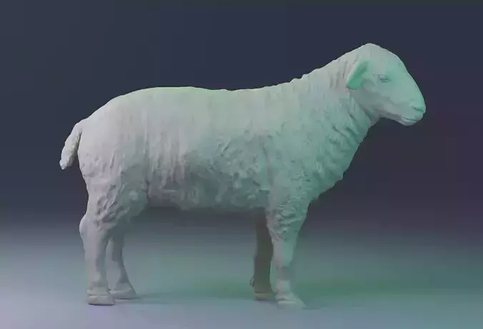 Realistic sheep standing version optimized for printing 