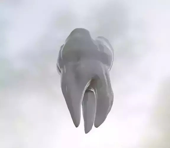 tooth low and highpoly