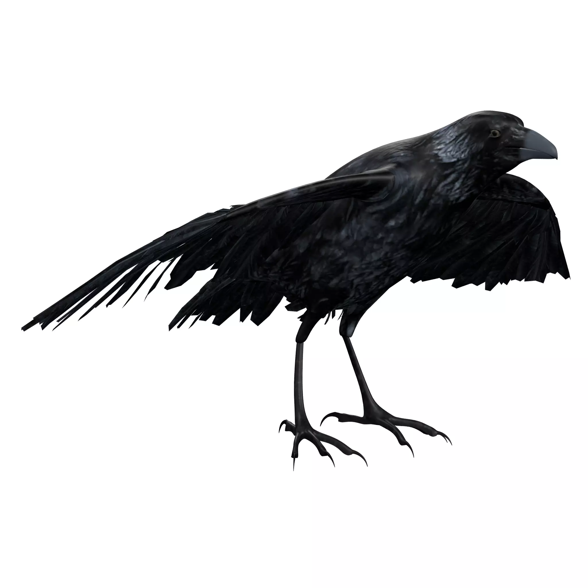 Raven Rigged  Low-poly 3D model_0