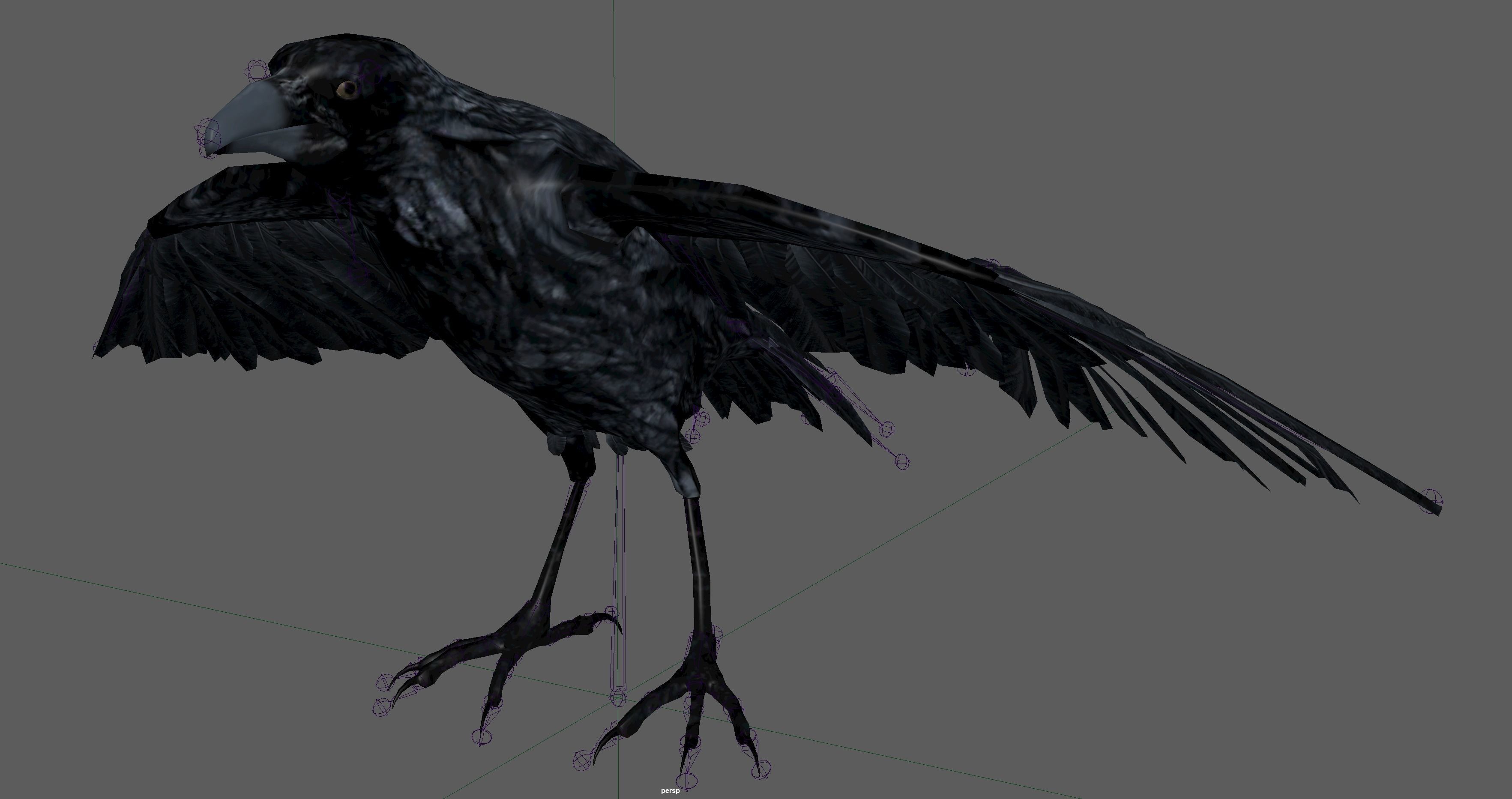 Raven Rigged  Low-poly 3D model_9