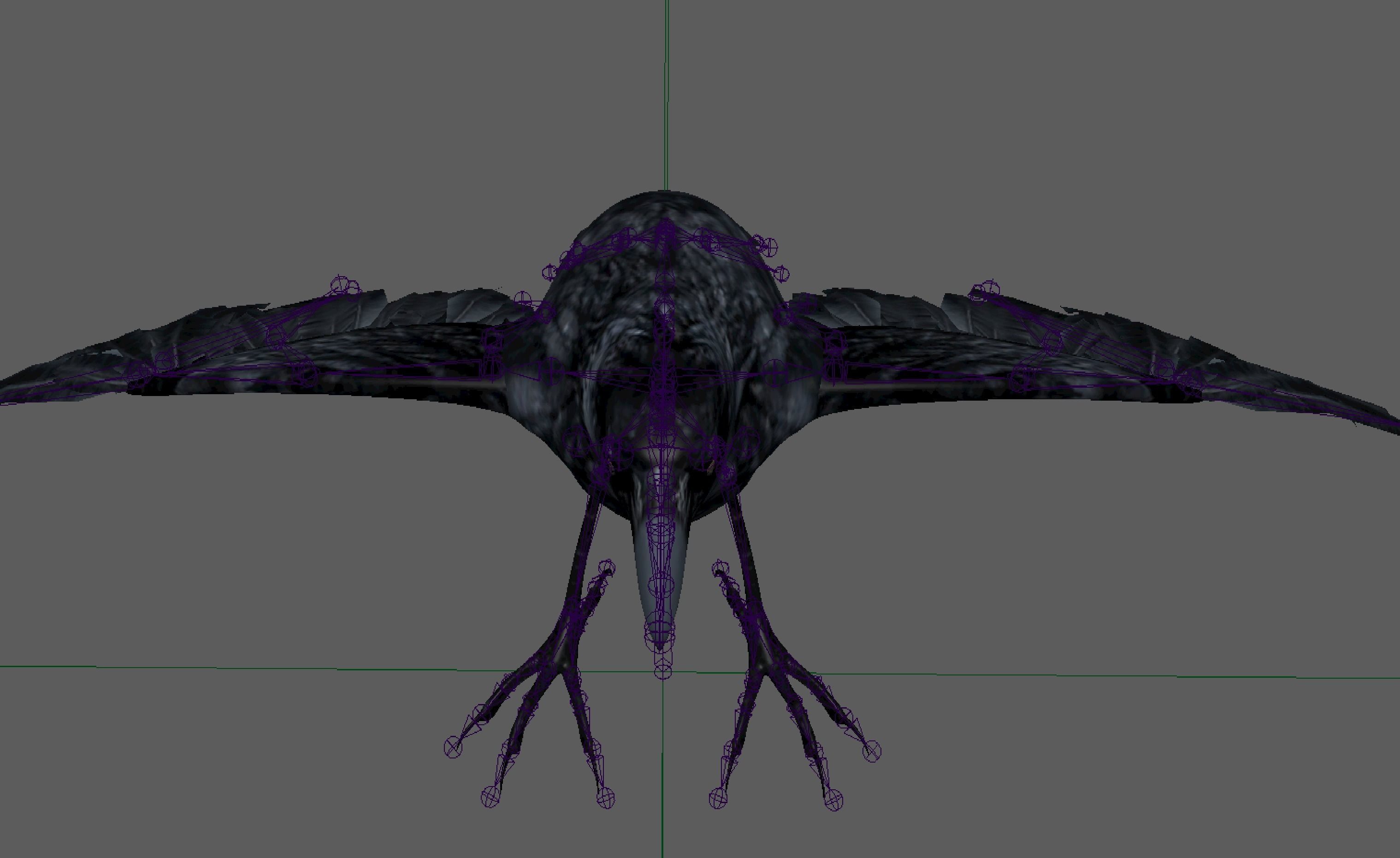 Raven Rigged  Low-poly 3D model_12