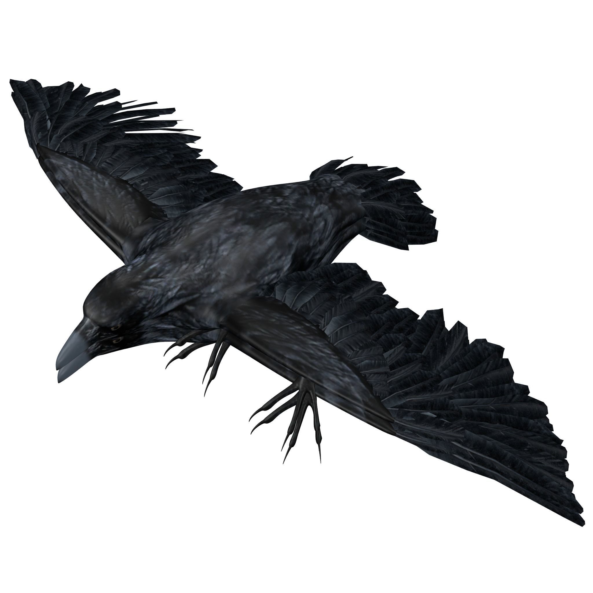 Raven Rigged  Low-poly 3D model_3