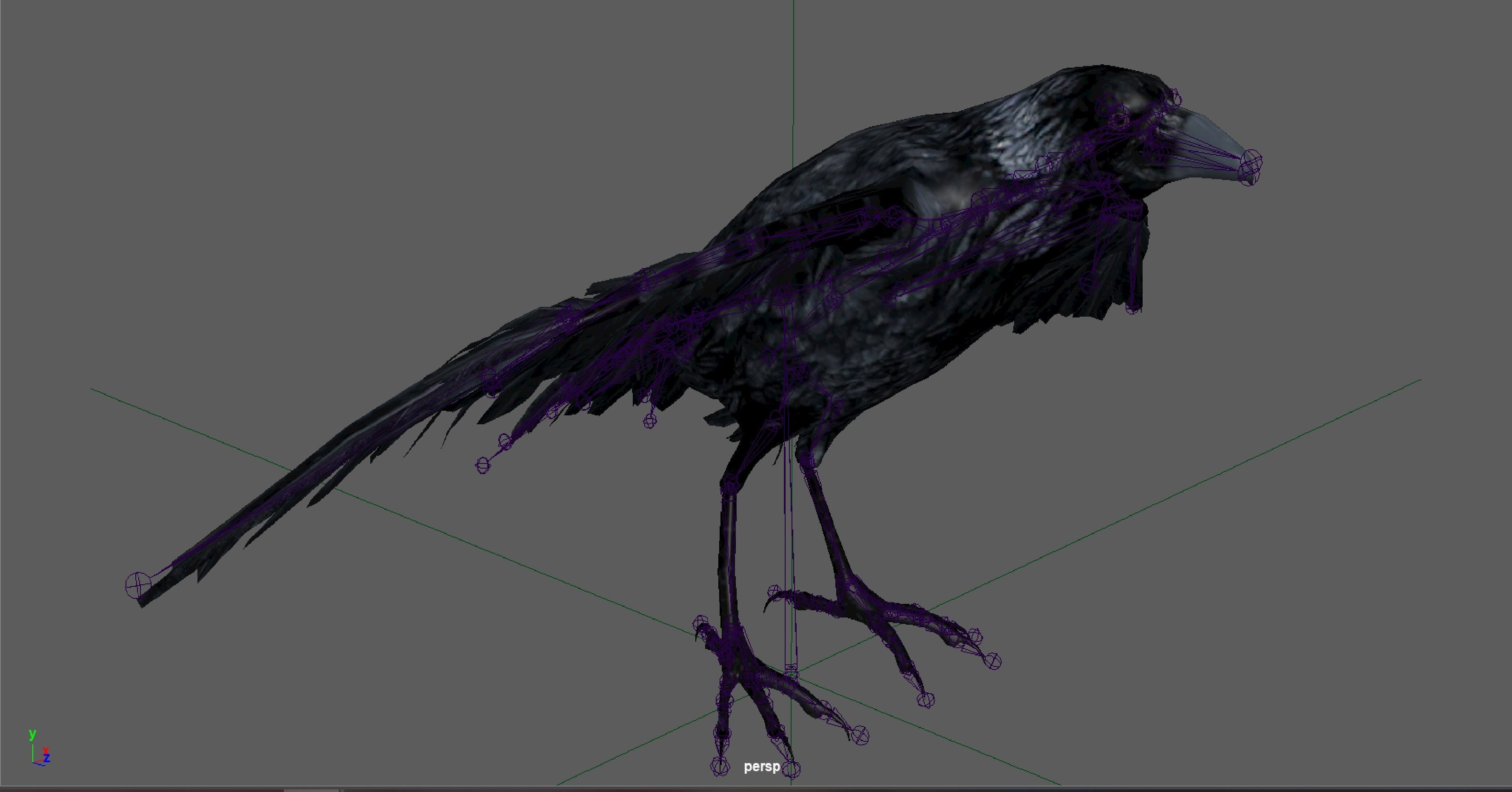 Raven Rigged  Low-poly 3D model_11