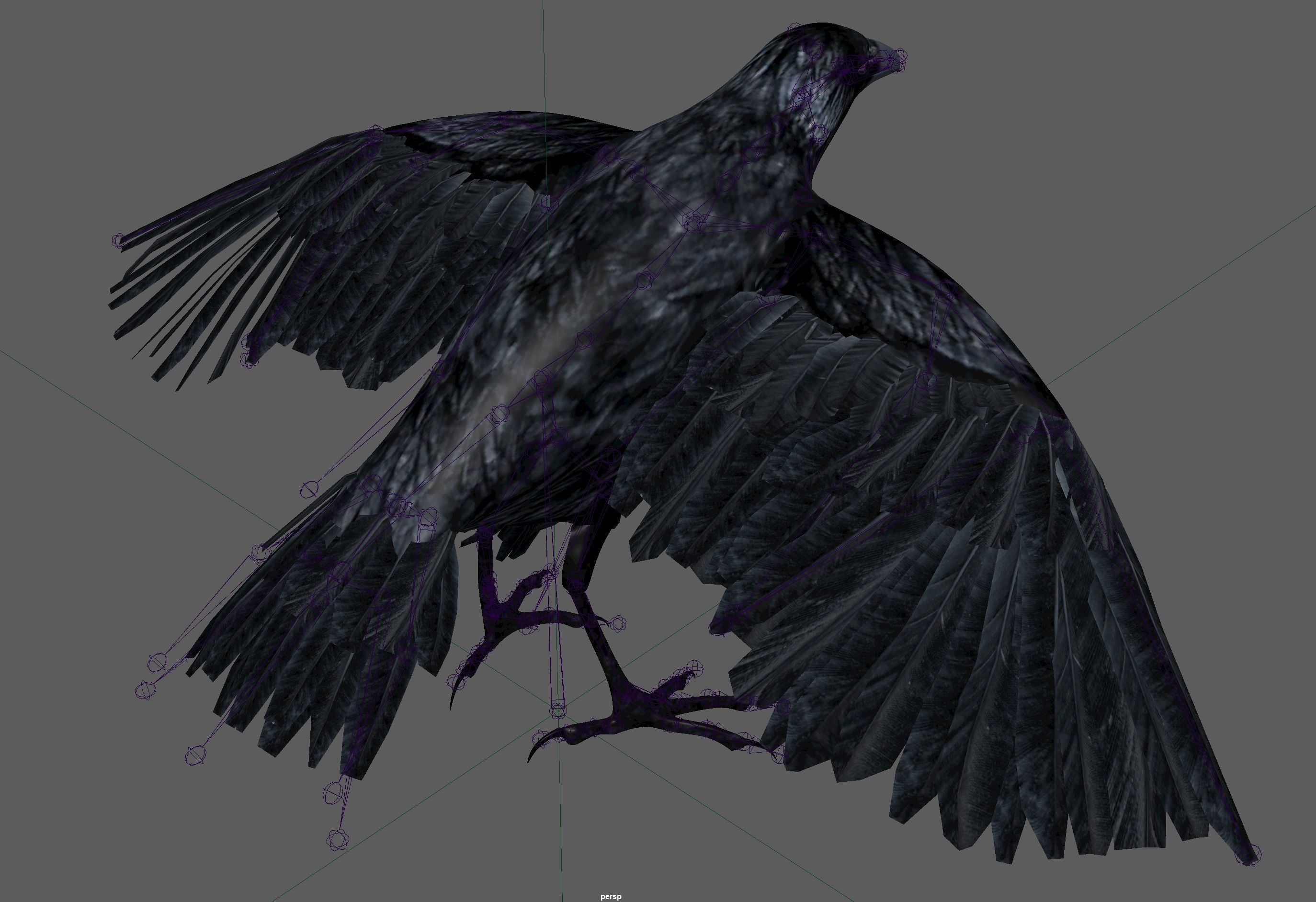Raven Rigged  Low-poly 3D model_5