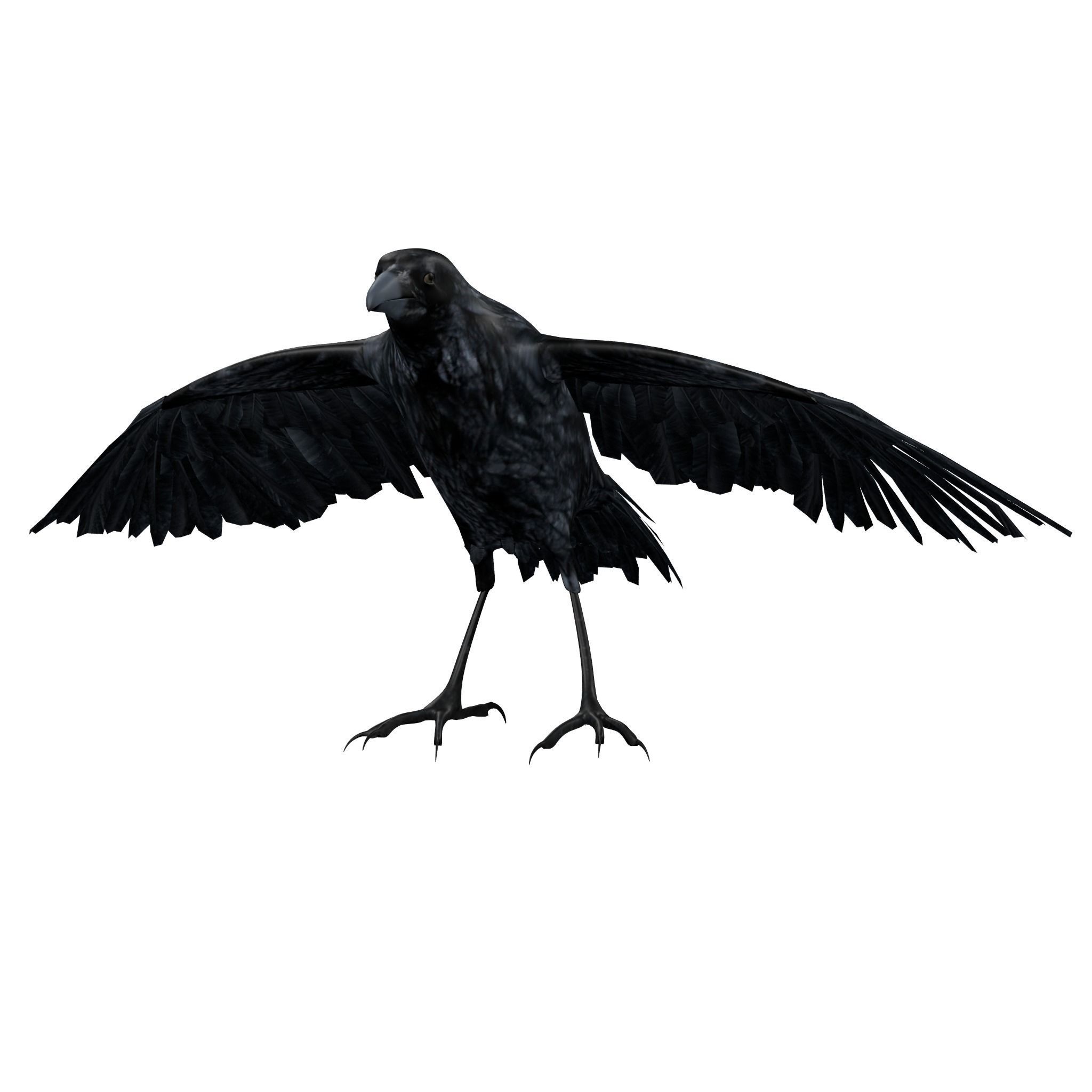 Raven Rigged  Low-poly 3D model_2