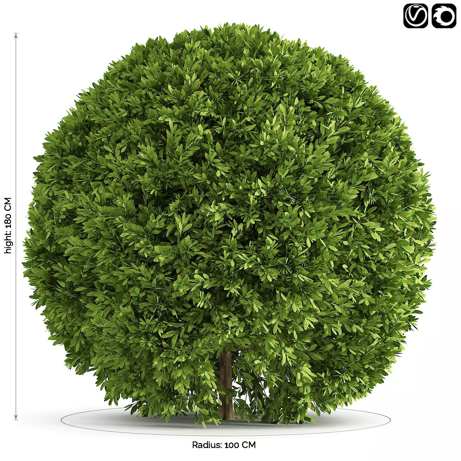 Spherical Bushes 3D model