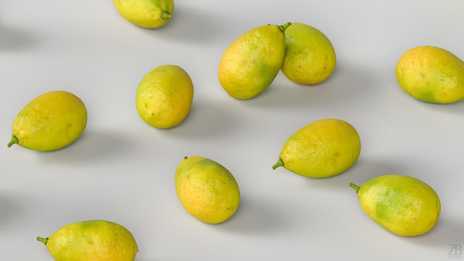 Limequat  3D model 3